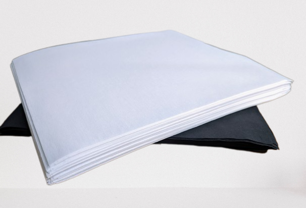 testpetets-removebg-preview